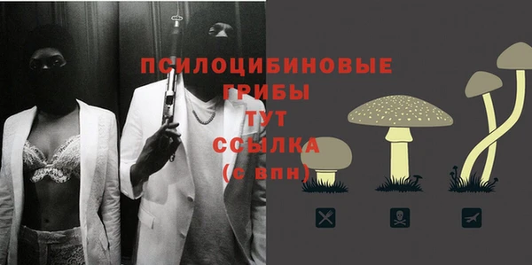 сатива Белоозёрский