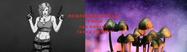 сатива Белоозёрский