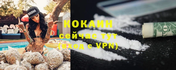 сатива Белоозёрский
