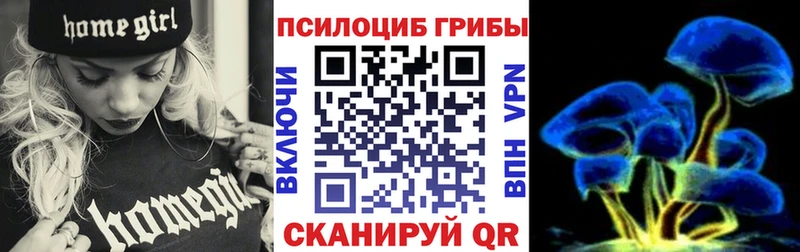 Купить закладки  Бакал  Псилоцибиновые грибы прущие грибы 