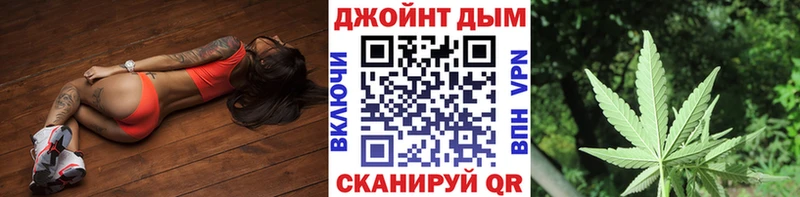 Купить Бакал Каннабис конопля